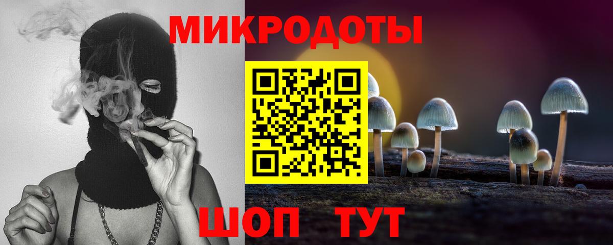Псилоцибиновые грибы Psilocybine cubensis Балабаново