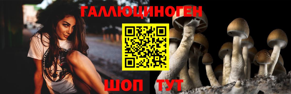 Псилоцибиновые грибы Cubensis  Псилоцибиновые грибы GOLDEN TEACHER  Балабаново  Вход с VPN 